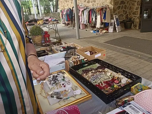 Mercadillo solidario de junio de 2025 (3)